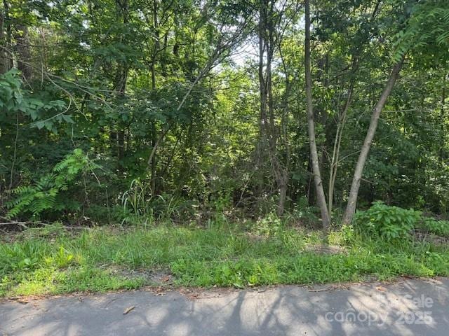 00 Country Life Dr Unit 38, Statesville, NC 28625 - photo 1