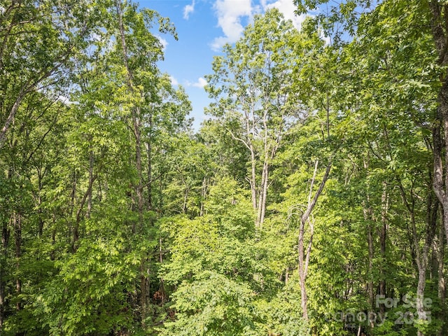 389 Manna Way, Sylva, NC 28779 - view of wooded area