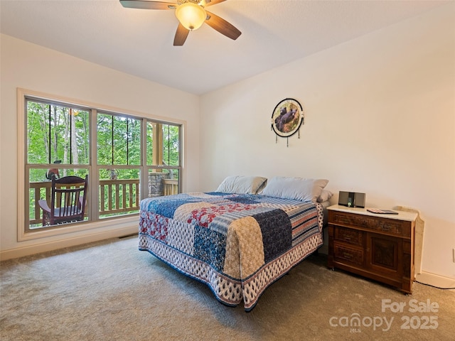 389 Manna Way, Sylva, NC 28779 - bedroom featuring carpet, multiple windows, and a ceiling fan