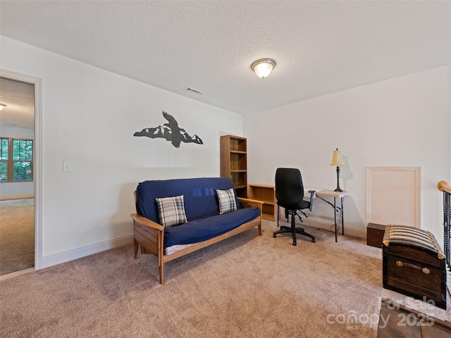 389 Manna Way, Sylva, NC 28779 - carpeted office space featuring a textured ceiling and baseboards