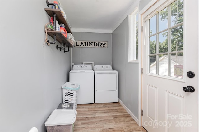 810 Maplewood Ave, Kannapolis, NC 28081 - laundry area featuring washing machine and clothes dryer, ornamental molding, and wood finished floors