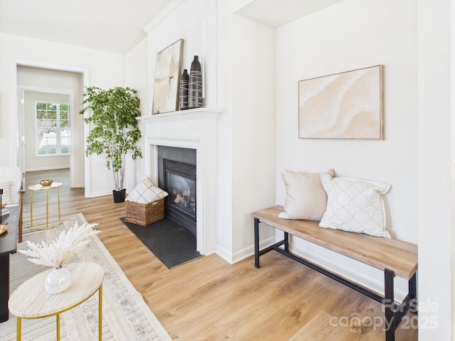 9030 Gander Dr, Charlotte, NC 28277 - living room with light wood-type flooring and a fireplace with flush hearth