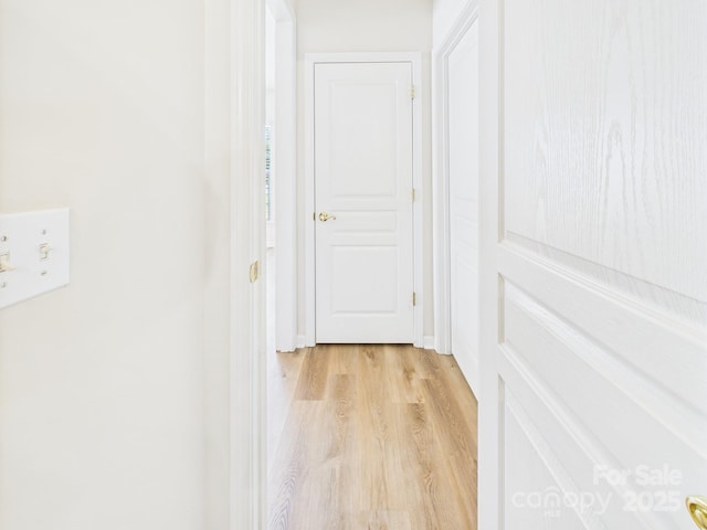 9030 Gander Dr, Charlotte, NC 28277 - hall featuring light wood-style floors