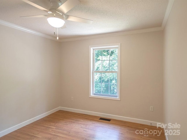 35 Sydney Ln, Asheville, NC 28806 - photo 21