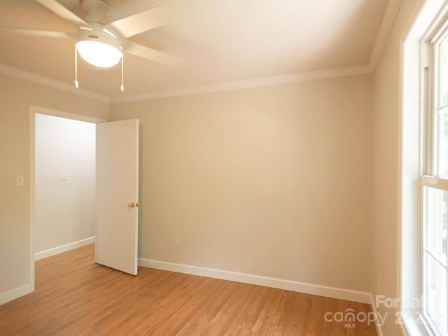 35 Sydney Ln, Asheville, NC 28806 - photo 22