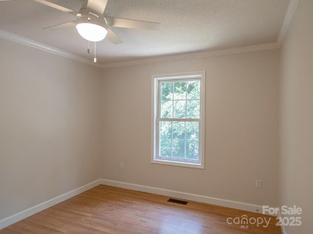 35 Sydney Ln, Asheville, NC 28806 - photo 23