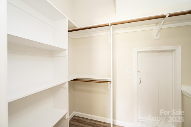 1214 Winter Pl SW, Lenoir, NC 28645 - walk in closet with wood finished floors