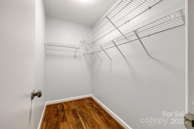 1606 Sharon Rd W Unit 40, Charlotte, NC 28210 - walk in closet featuring dark wood-style flooring