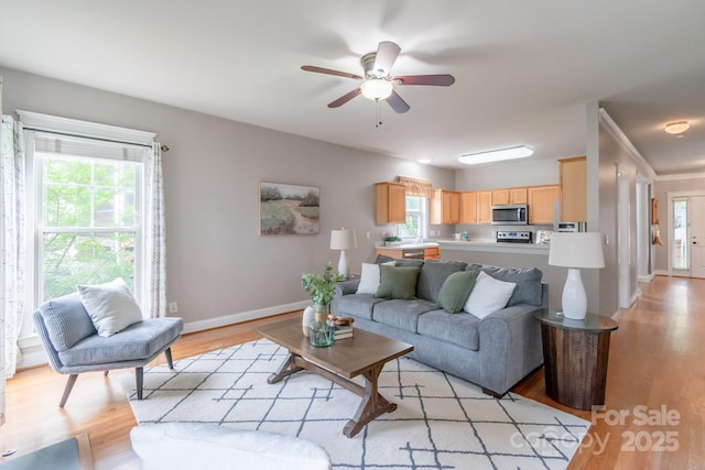 2619 Merion Hills Ct, Charlotte, NC 28269 - living area with healthy amount of natural light, light wood-style floors, and ceiling fan
