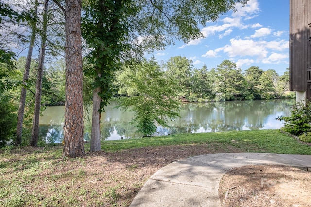 8135 Cedar Glen Dr, Charlotte, NC 28212 - water view