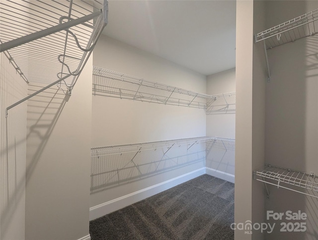 287 Luray Way Unit 450, Rock Hill, SC 29730 - photo 20