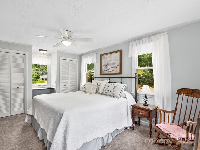 185 Indian Springs Rd, Clyde, NC 28721 - carpeted bedroom featuring multiple closets, multiple windows, a textured ceiling, a ceiling fan, and ornamental molding