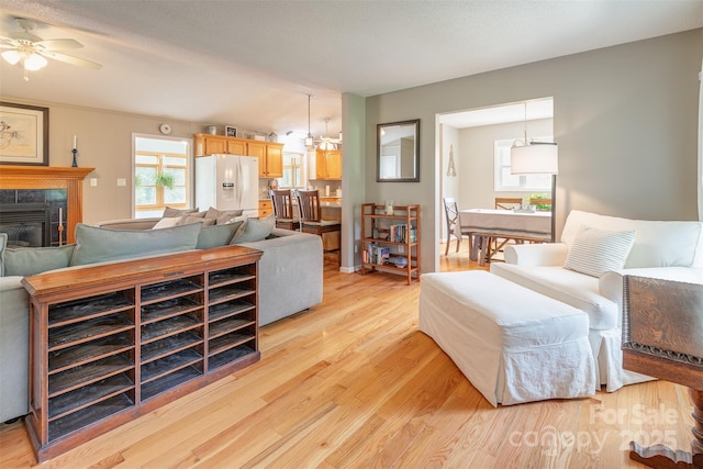 76 Woodland Hills Rd, Asheville, NC 28804 - living room with light wood-type flooring, a fireplace, and ceiling fan
