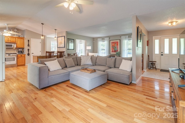 76 Woodland Hills Rd, Asheville, NC 28804 - living area featuring a ceiling fan, light wood finished floors, and vaulted ceiling