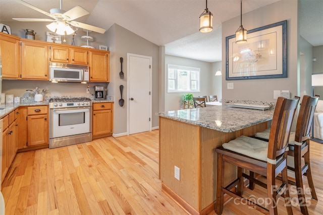 76 Woodland Hills Rd, Asheville, NC 28804 - kitchen with stainless steel gas range, white microwave, light wood finished floors, a kitchen bar, and a peninsula