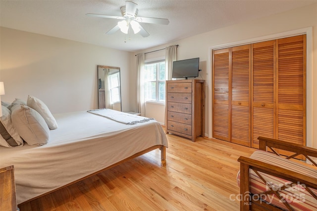 76 Woodland Hills Rd, Asheville, NC 28804 - bedroom featuring light wood-style flooring, a ceiling fan, and a closet
