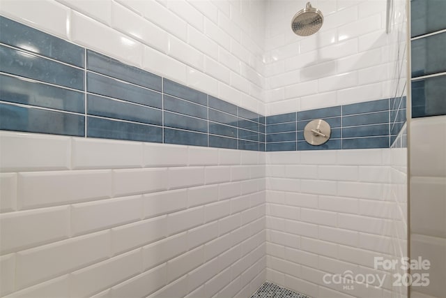 76 Woodland Hills Rd, Asheville, NC 28804 - full bath with tiled shower