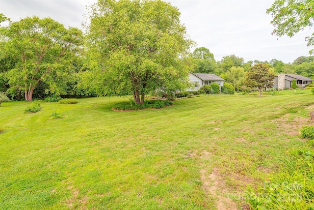 76 Woodland Hills Rd, Asheville, NC 28804 - view of green lawn