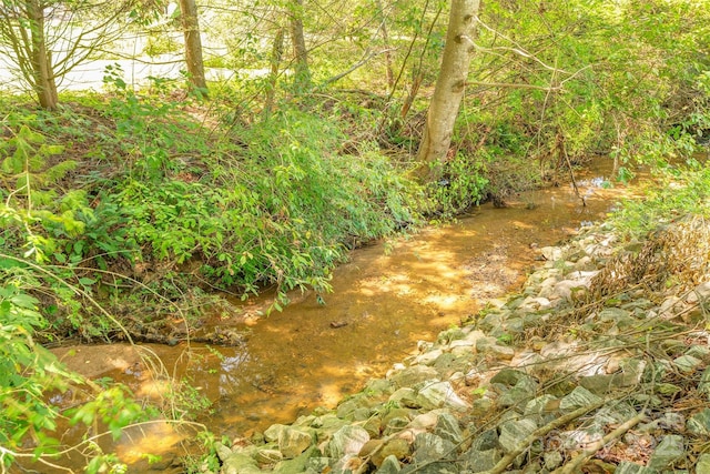 76 Woodland Hills Rd, Asheville, NC 28804 - view of undeveloped land