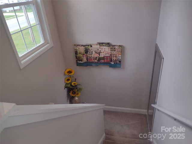 1017 W C St, Kannapolis, NC 28081 - staircase featuring carpet flooring and baseboards