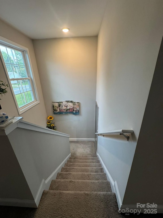 1017 W C St, Kannapolis, NC 28081 - stairway featuring carpet and baseboards