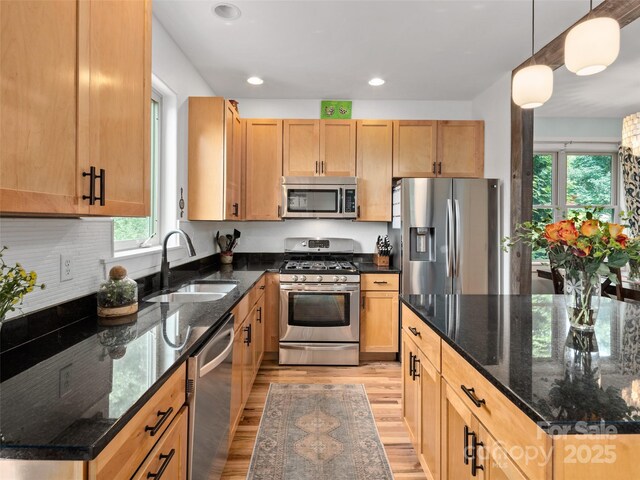 14 Alabama Ave, Asheville, NC 28806 - photo 12