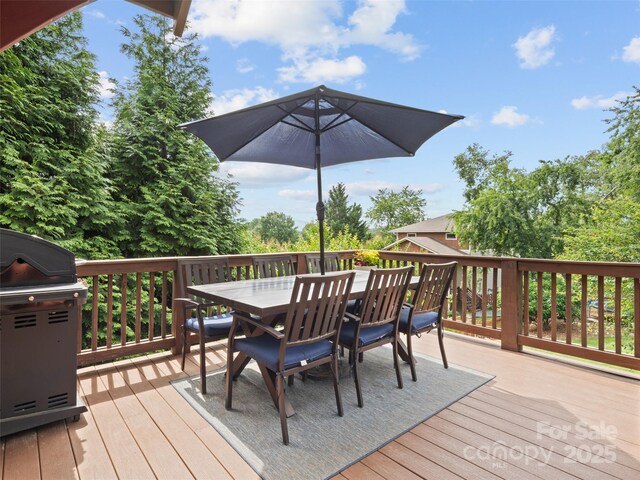 14 Alabama Ave, Asheville, NC 28806 - photo 19