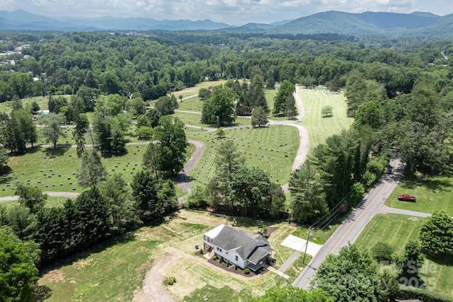 438 Hazel Mill Rd, Asheville, NC 28806 - photo 5