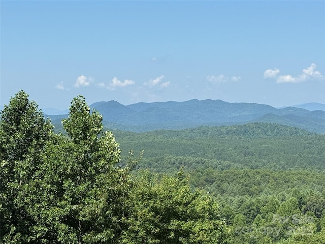 0 Scenic Vista Dr Unit 262, Nebo, NC 28761