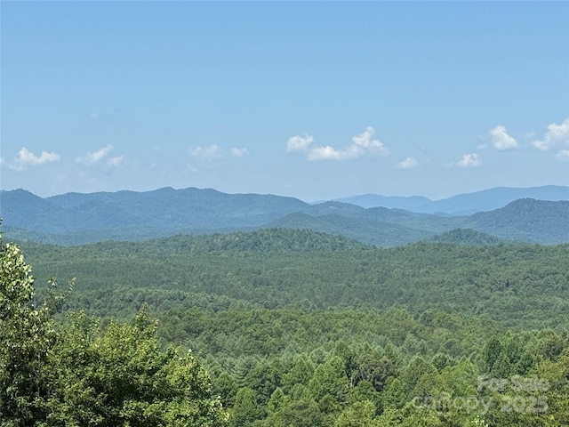 0 Scenic Vista Dr Unit 262, Nebo, NC 28761