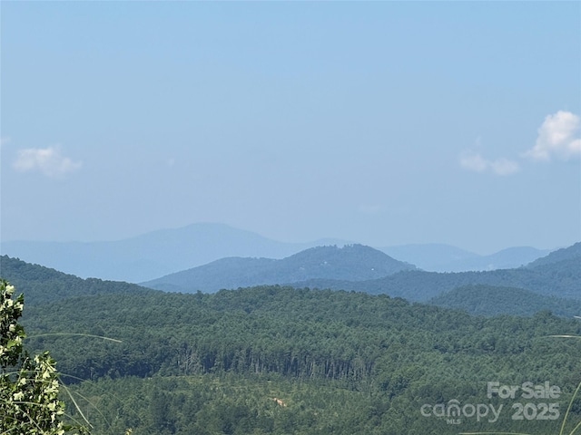 0 Scenic Vista Dr Unit 262, Nebo, NC 28761
