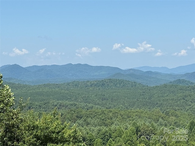 0 Scenic Vista Dr Unit 262, Nebo, NC 28761