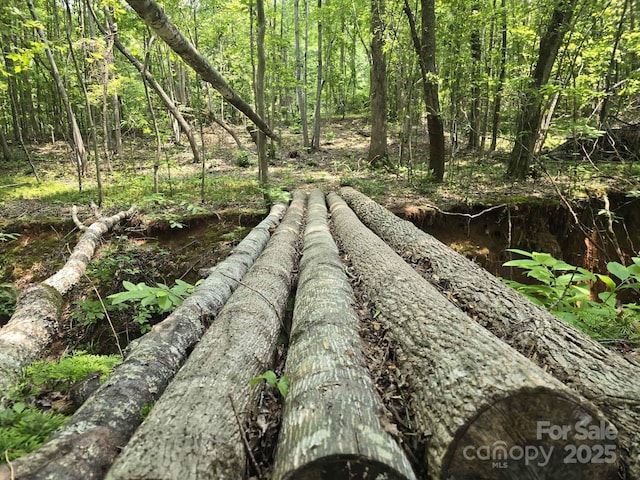 LOT10 State Line Rd Unit 10, Mooresboro, NC 28114