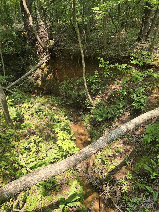 LOT10 State Line Rd Unit 10, Mooresboro, NC 28114