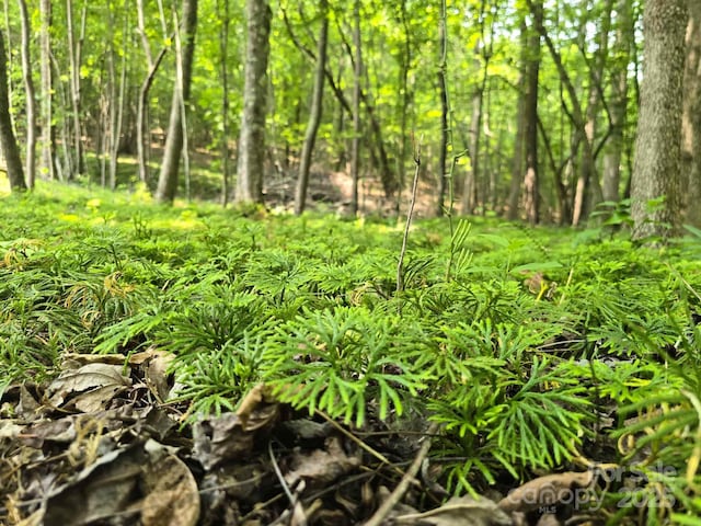LOT10 State Line Rd Unit 10, Mooresboro, NC 28114