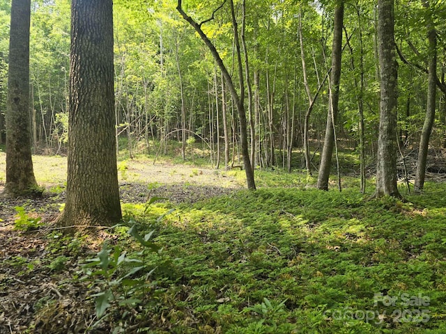 LOT10 State Line Rd Unit 10, Mooresboro, NC 28114