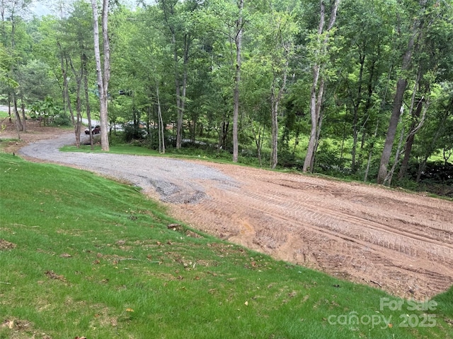 494 Long Branch Rd, Clyde, NC 28721