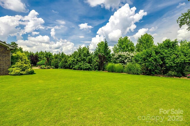 4220 Thames Cir, Fort Mill, SC 29715 - photo 35