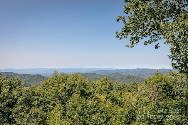 218 Slickrock Rd, Burnsville, NC 28714 - photo 17
