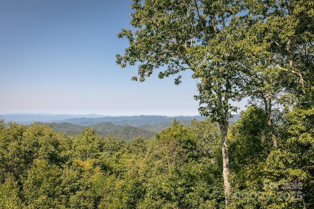 218 Slickrock Rd, Burnsville, NC 28714 - photo 18