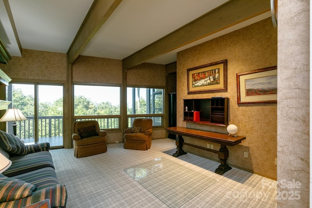 218 Slickrock Rd, Burnsville, NC 28714 - photo 26