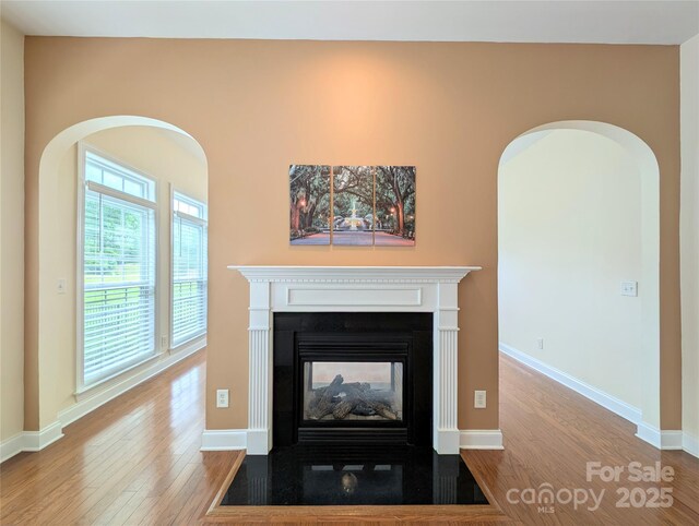 408 Presidio Dr, Rock Hill, SC 29732 - detailed view of wood finished floors, a multi sided fireplace, and arched walkways