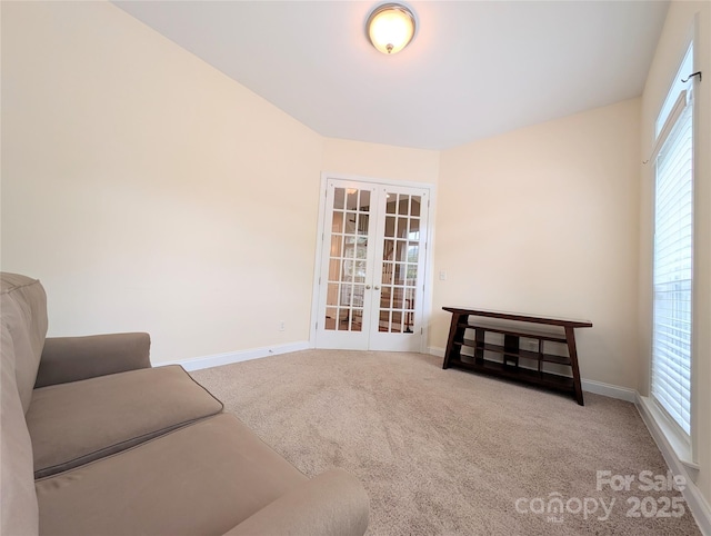 408 Presidio Dr, Rock Hill, SC 29732 - living area with french doors and carpet floors