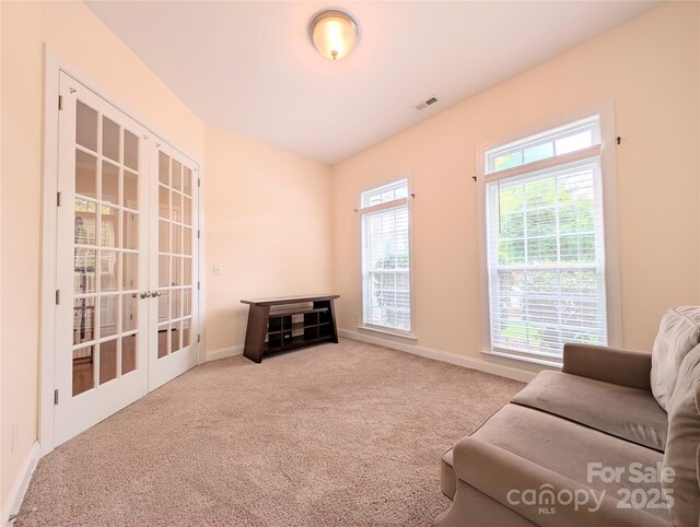 408 Presidio Dr, Rock Hill, SC 29732 - living area featuring french doors and carpet floors