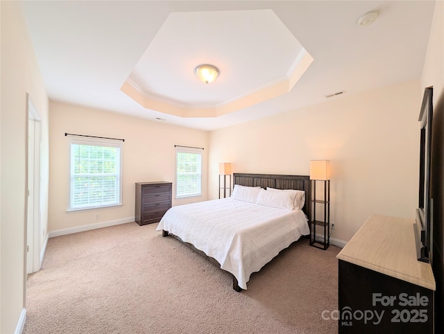 408 Presidio Dr, Rock Hill, SC 29732 - bedroom featuring a tray ceiling, carpet flooring, and ornamental molding