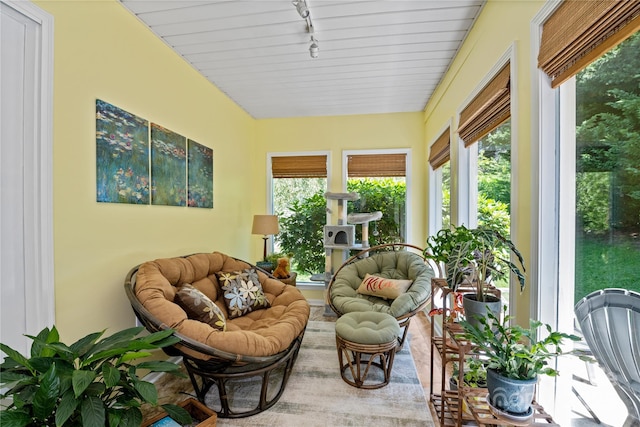4 Orchard Pl, Weaverville, NC 28787 - sunroom with rail lighting