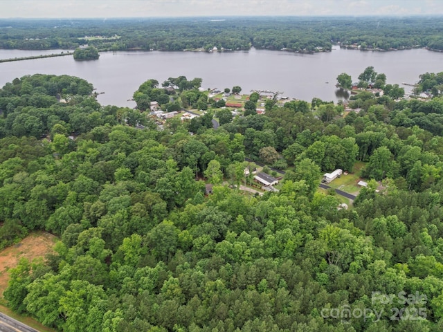 142 Hickory Rd, Lexington, NC 27292 - drone / aerial view of a large body of water and a forest