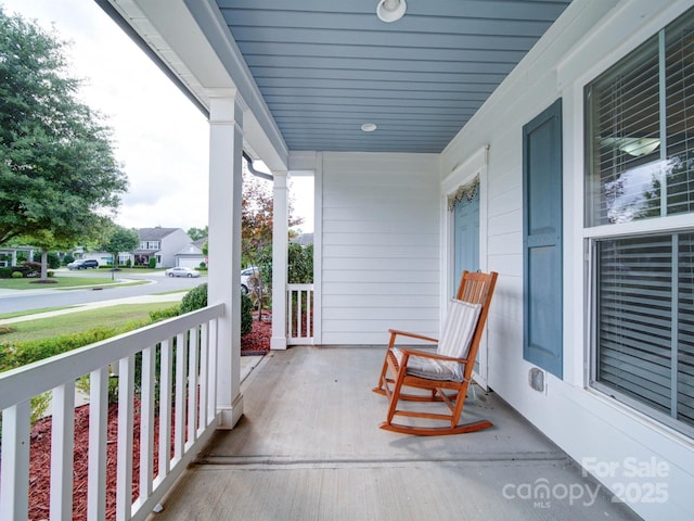 3009 Palm Dr, Fort Mill, SC 29715 - view of porch