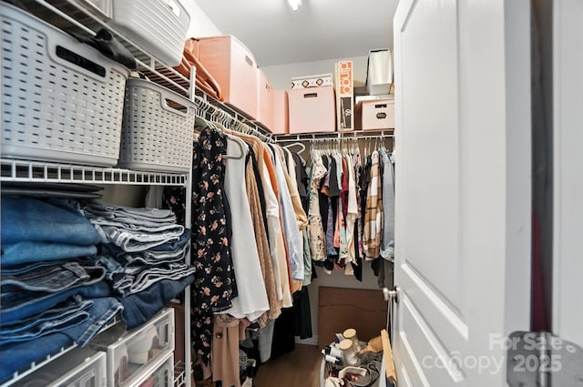 529 River Park Rd, Belmont, NC 28012 - walk in closet with wood finished floors