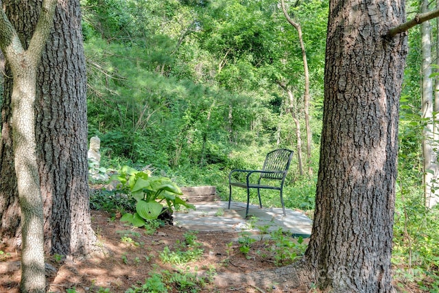 24 Westhaven Dr, Asheville, NC 28804 - photo 40